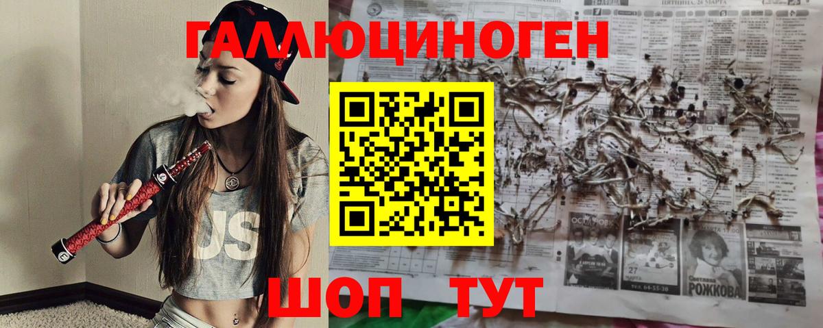 Менделеевск  Галлюциногенные грибы прущие грибы  что такое наркотик  Вход с VPN 