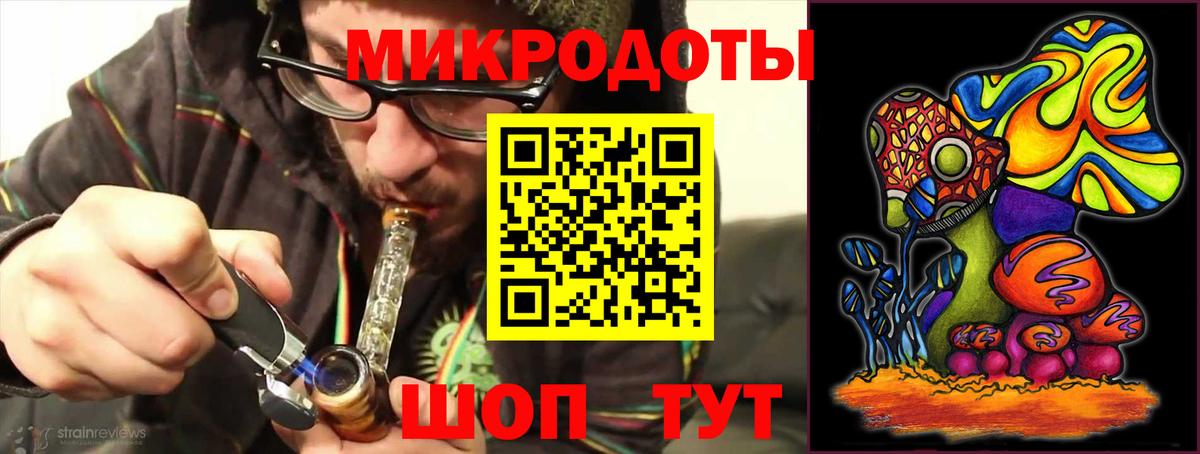 Галлюциногенные грибы Psilocybe Менделеевск